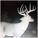 2016 helicopter-photos